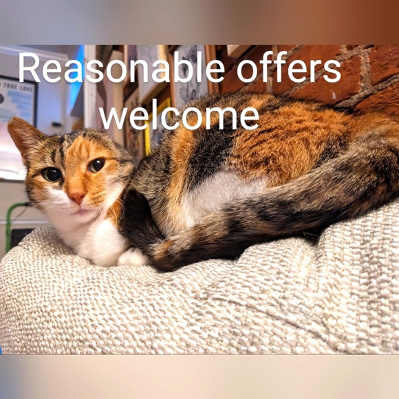 Reasonable offers welcome! - Picture 1 of 1